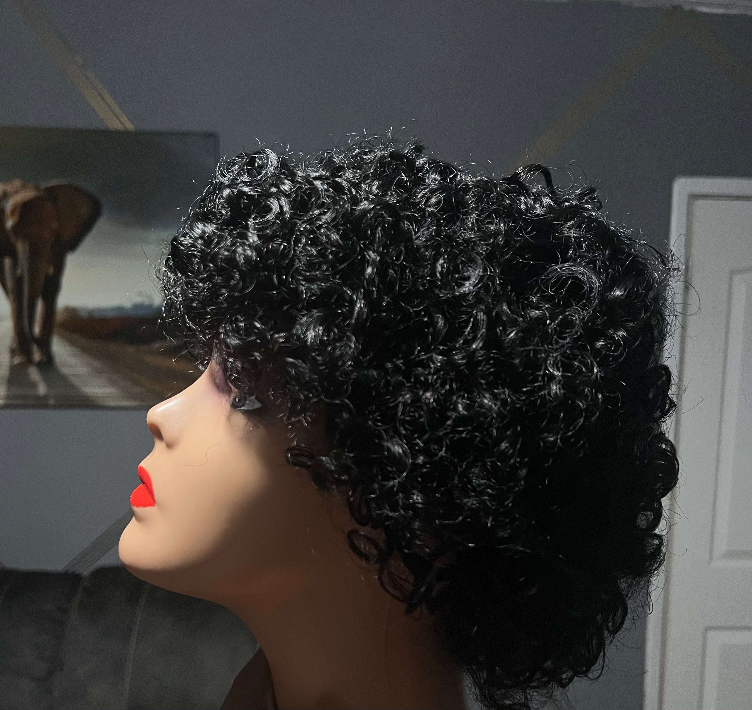 Afro Human Hair Curly Wig 8”